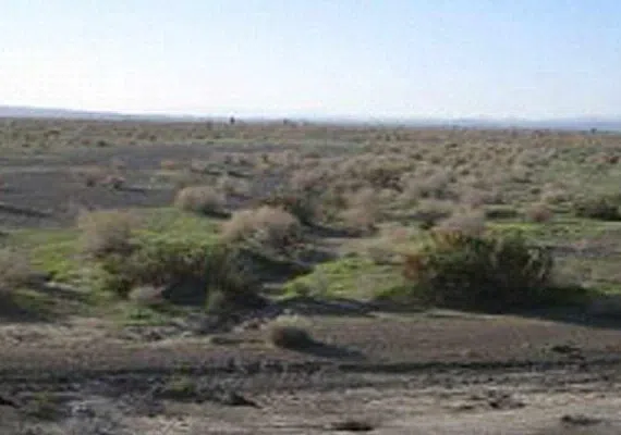 منطقه حفاظت شده مارز