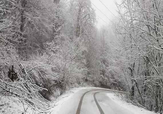 روستای ننیز علیا