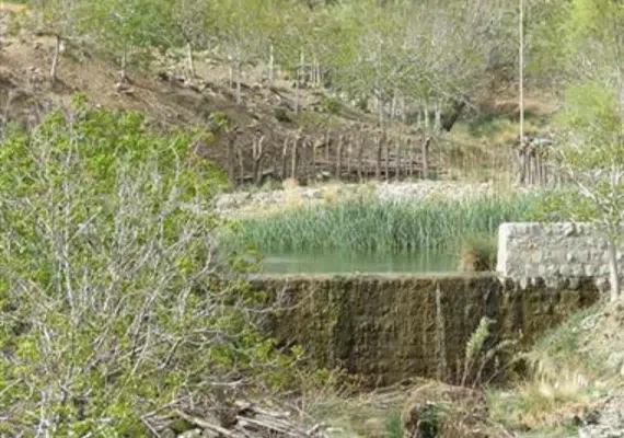 روستا پدم آباد