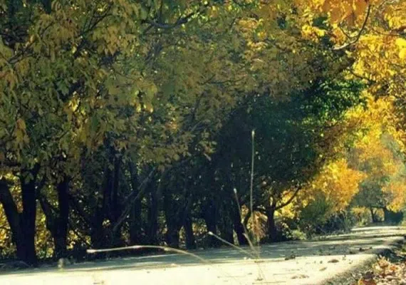 روستای بیدخوان بردسیر