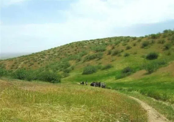 منطقه حفاظت شده جنگل خواجه