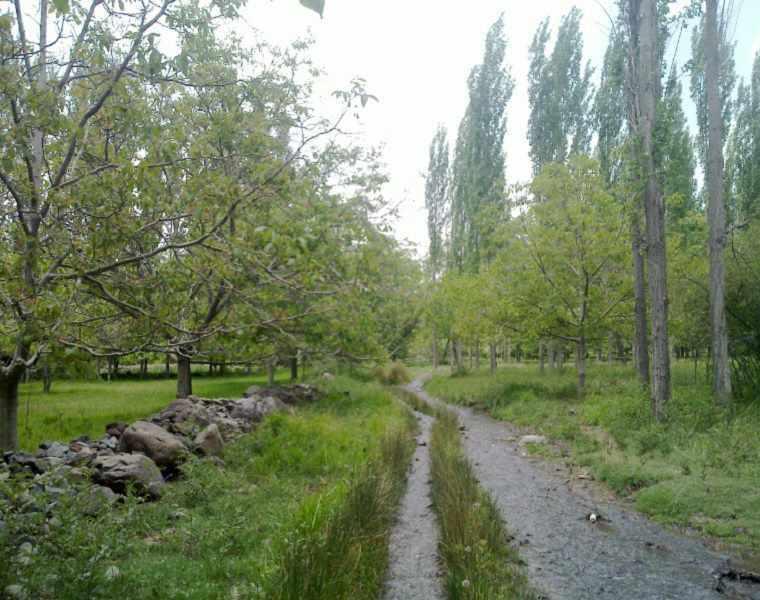 رودخانه چشمه عروس