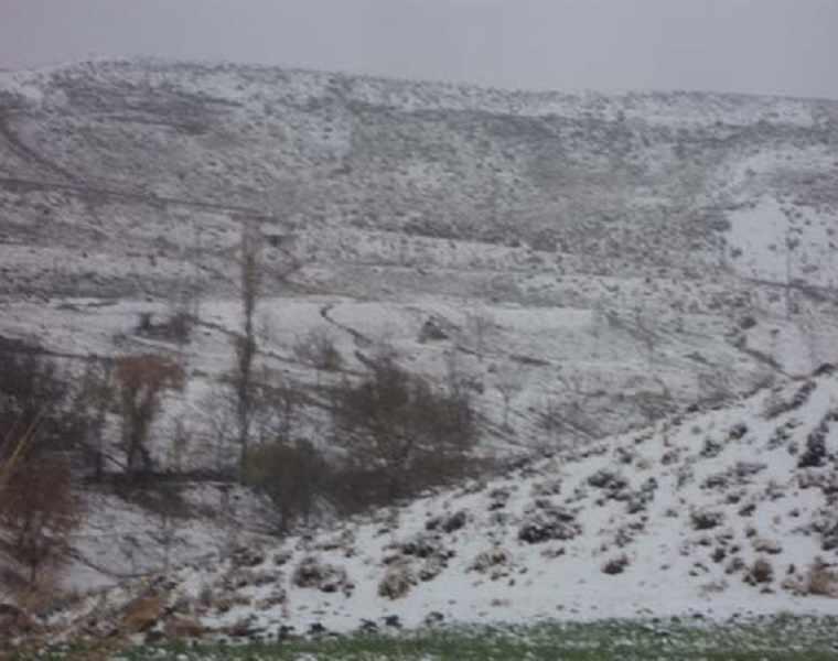 روستای زمین انجیر