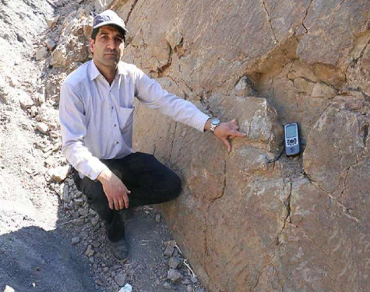 رد پای دایناسورها