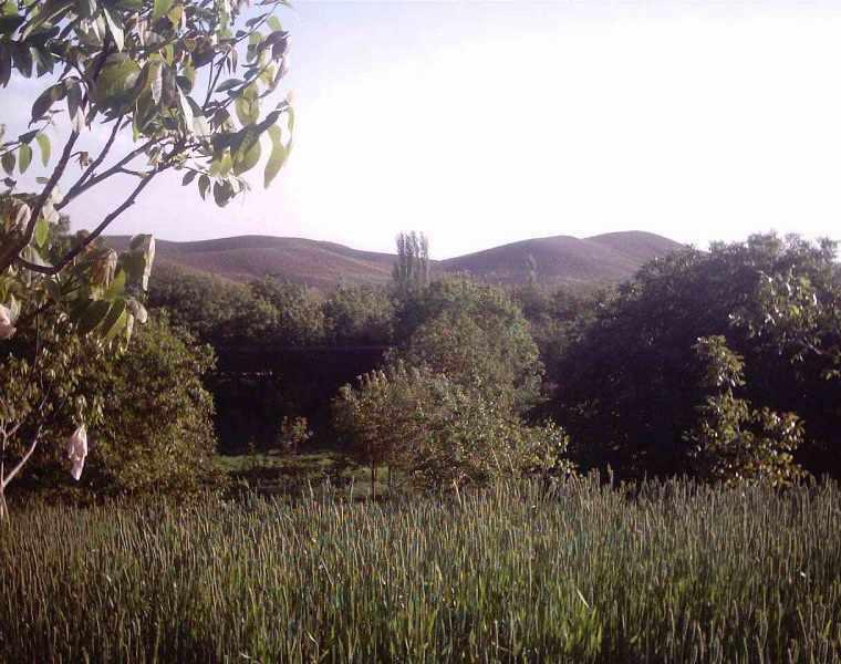 روستای ننیز علیا