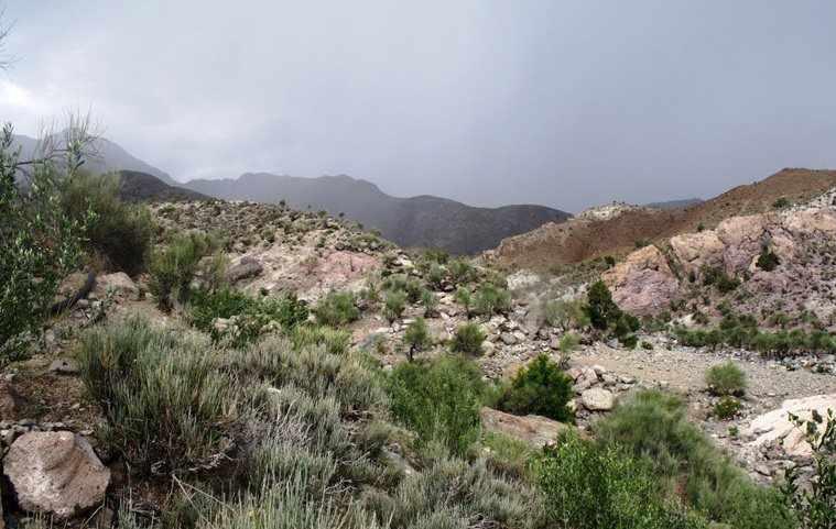 منطقه حفاظت شده سنگ مس