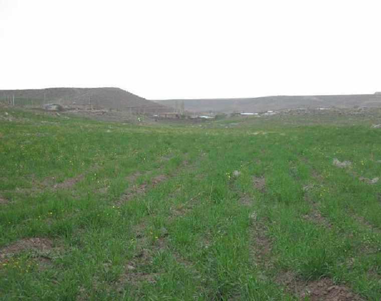 روستای آهوئيه