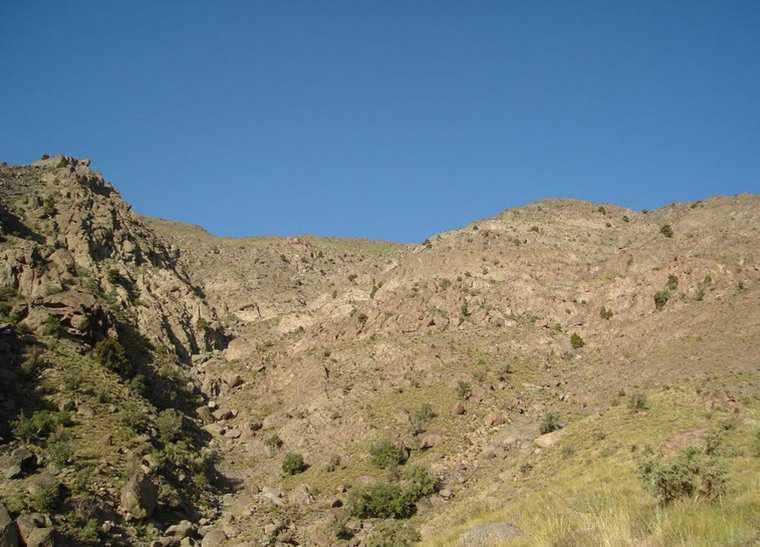 منطقه حفاظت شده کوه شیر