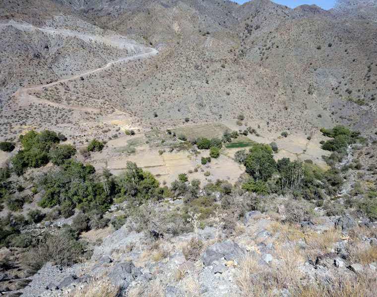 منطقه حفاظت شده زریاب