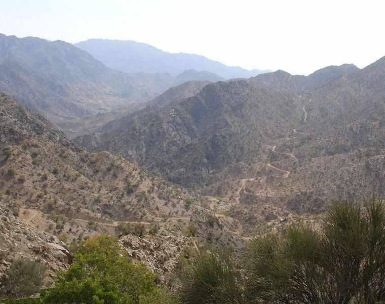 منطقه حفاظت شده زریاب