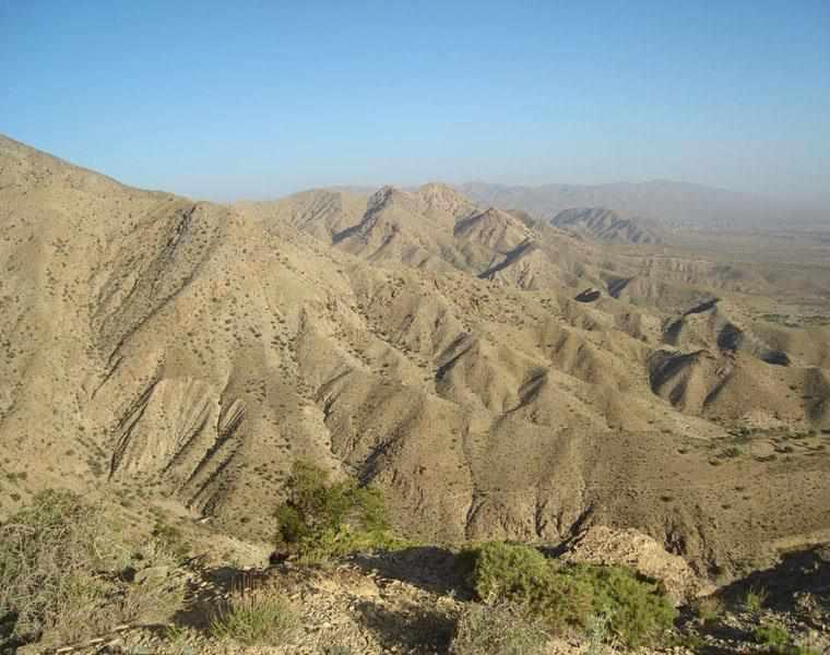 منطقه حفاظت شده زریاب