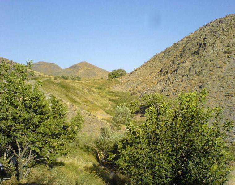 منطقه حفاظت شده زریاب