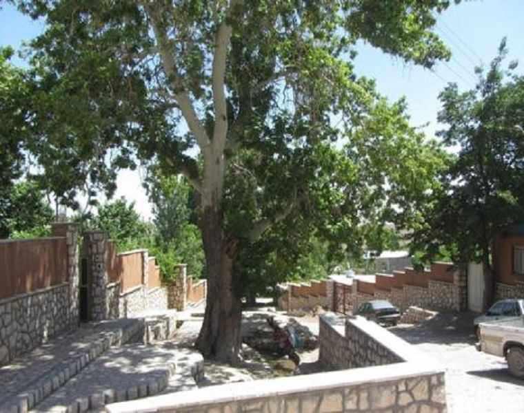 روستای جرجافک