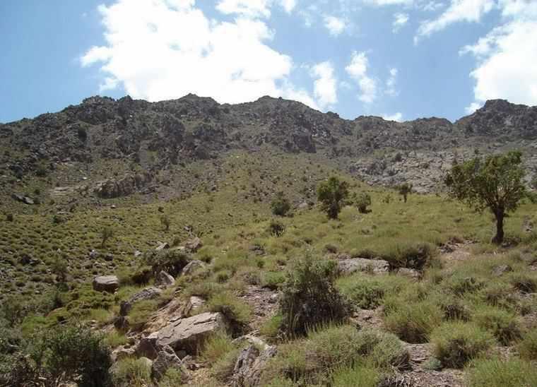 منطقه حفاظت شده کوه شیر