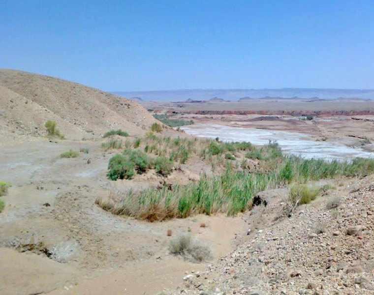 منطقه حفاظت شده چاه کومه