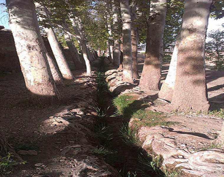 روستای سرتخت