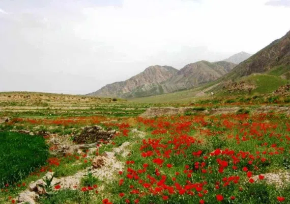 روستای استند جای دیدنی زیرکوه
