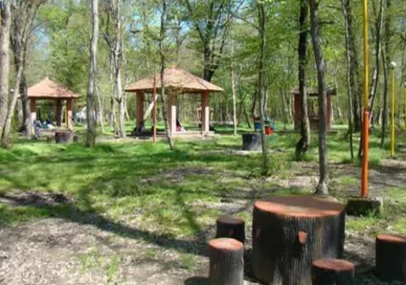 پارک جنگلی دلند