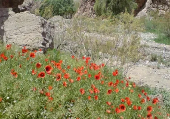 روستای خوشاب