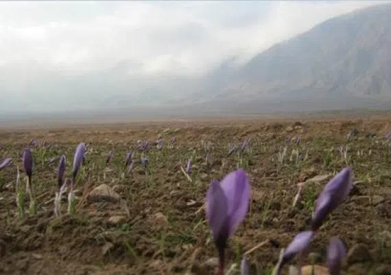 روستای استند جای دیدنی زیرکوه