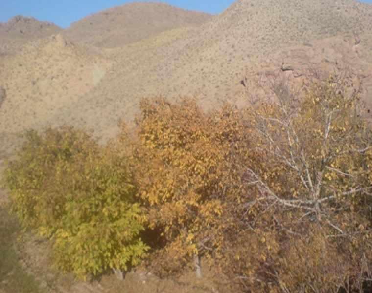 روستای خوشاب