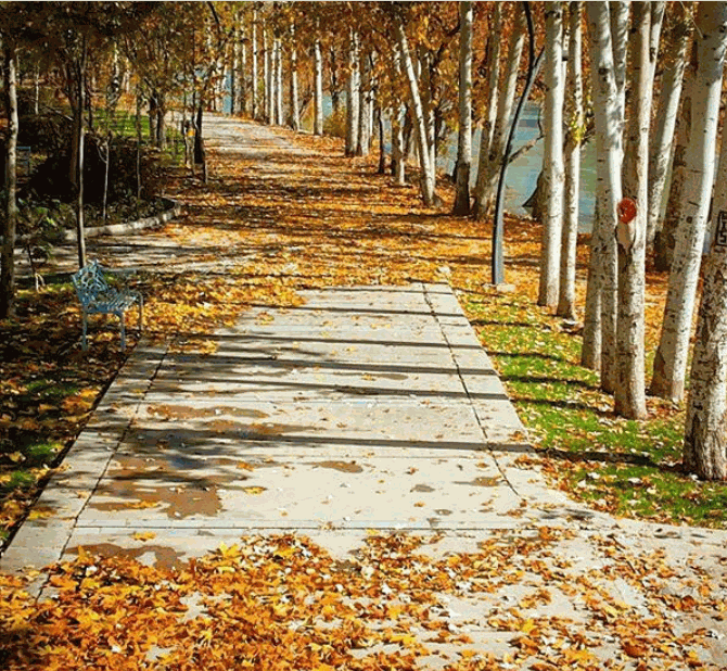 پارک ساحلی زرین شهر