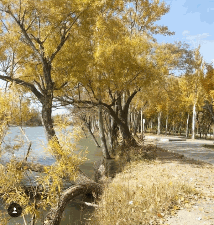 پارک ساحلی زرین شهر