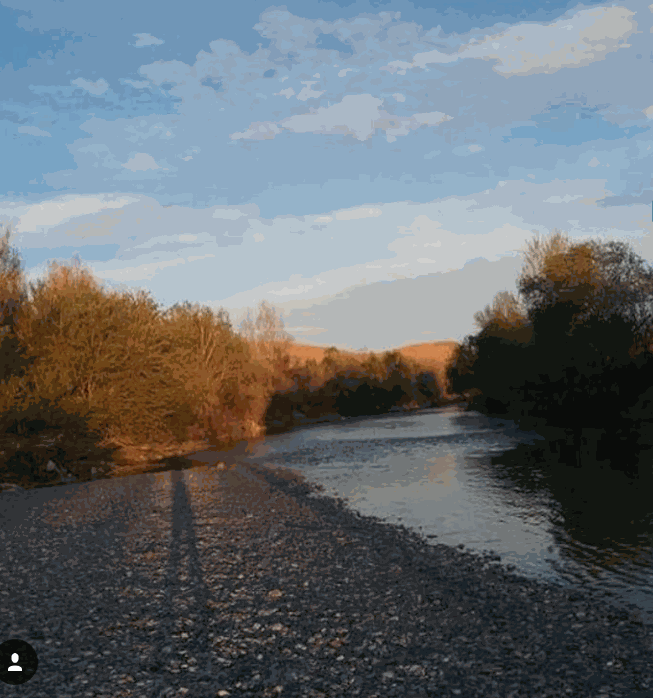پارک ساحلی زرین شهر