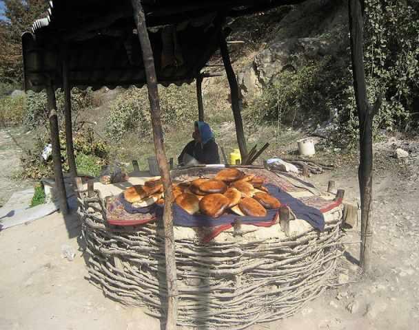 آبشار دوقلوی زیارت، یکی از آبشارهای خزه ای ایران