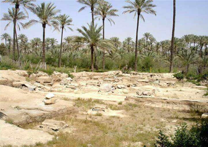 کاخ بردک سیاه، کاخ داریوش اول