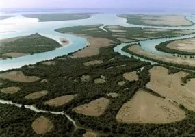 پارک ملی دریایی دیر-نخیلو، بهشت پرندگان و زیباترین پارک پرندگان در خاورمیانه