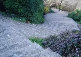 بام سبز لاهیجان