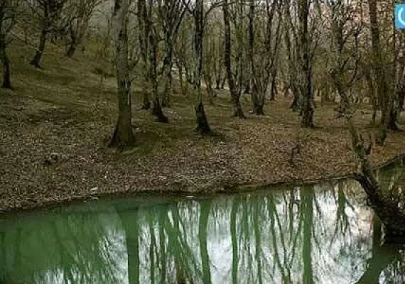 چشمه لاله گلستان