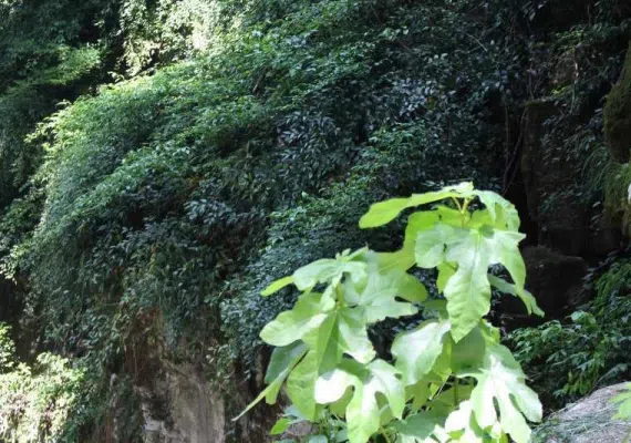 مجمومه آبشارهای لوه، آبشارهای پله ای ایران