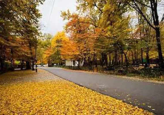 پارک جنگلی النگدره، جنگل چهار فصل گرگان