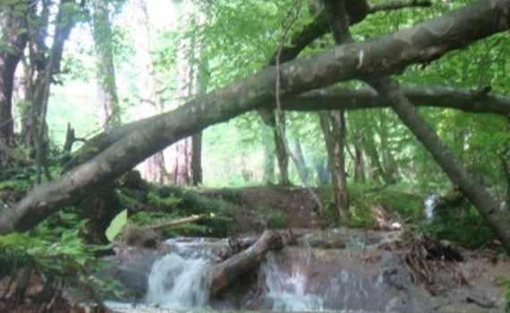 آبشار لاشو کجاست