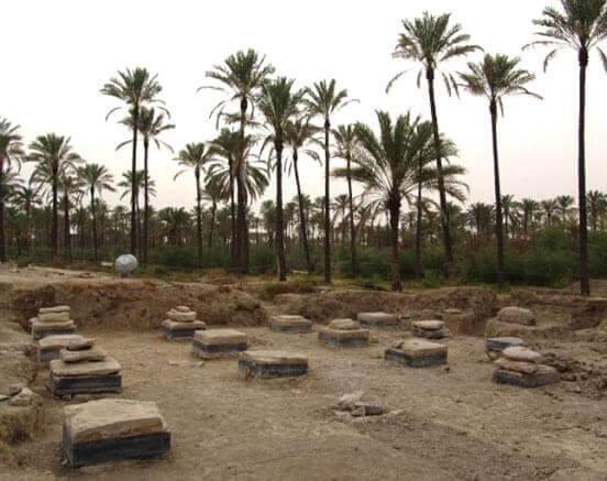 کاخ بردک سیاه، کاخ داریوش اول