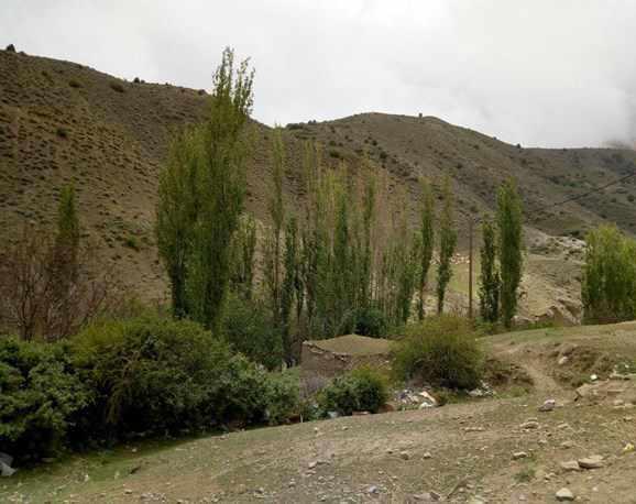 روستای فیروزه