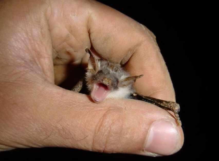 غار آبی دانیال مازندران