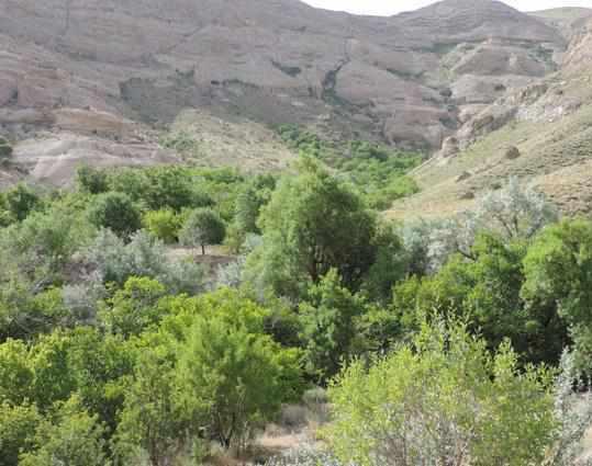 روستاي صخره ای کُرُم، تجربه حمام آب معدنی در دل کوه