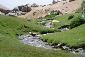 دشت های توصیف ناپذیر بهار همدان