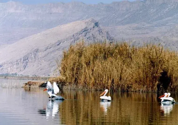 دریاچه سد تهم، نگین آبی شهر زنجان