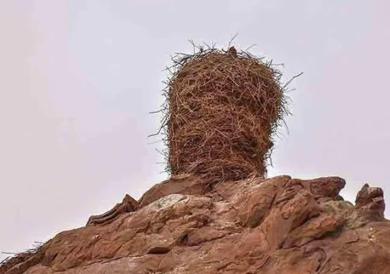 قلعه لک لک ها، شگفتی از طبیعت