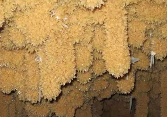 زرین غار خدابنده، لذت یک غار نوردی بکر