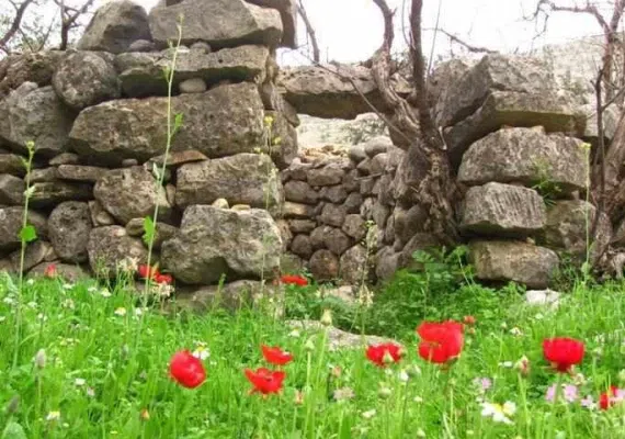 دشت های توصیف ناپذیر بهار همدان