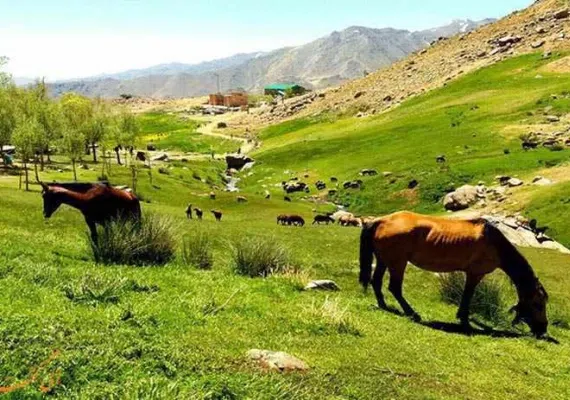 دشت های توصیف ناپذیر بهار همدان