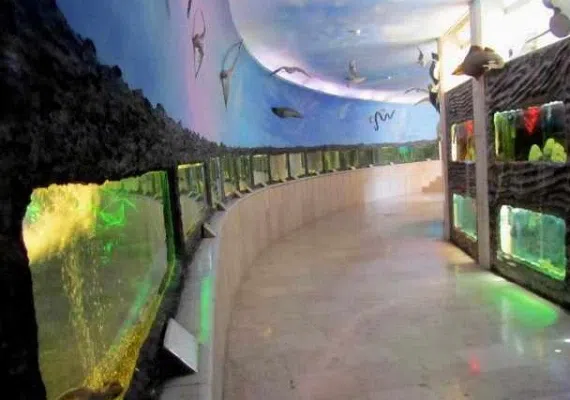 موزه تاریخ طبیعی دارآباد