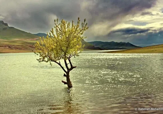 دریاچه سد تهم، نگین آبی شهر زنجان