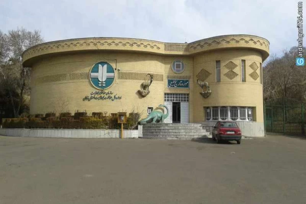 موزه تاریخ طبیعی زنجان، گشتی در حیات وحش استثنایی