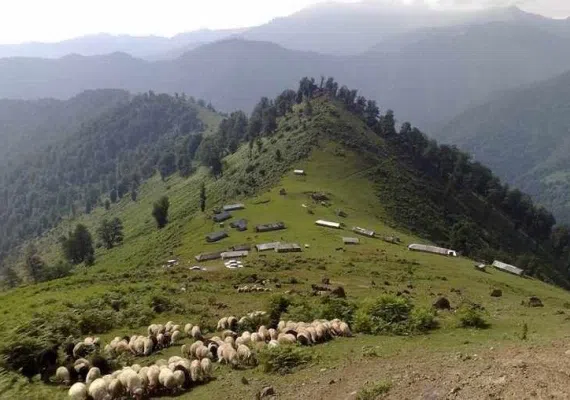 منطقه ییلاقی دشت النزه ماسال